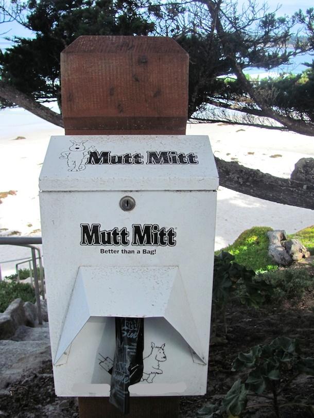 Green Dispenser for Mutt Mitts