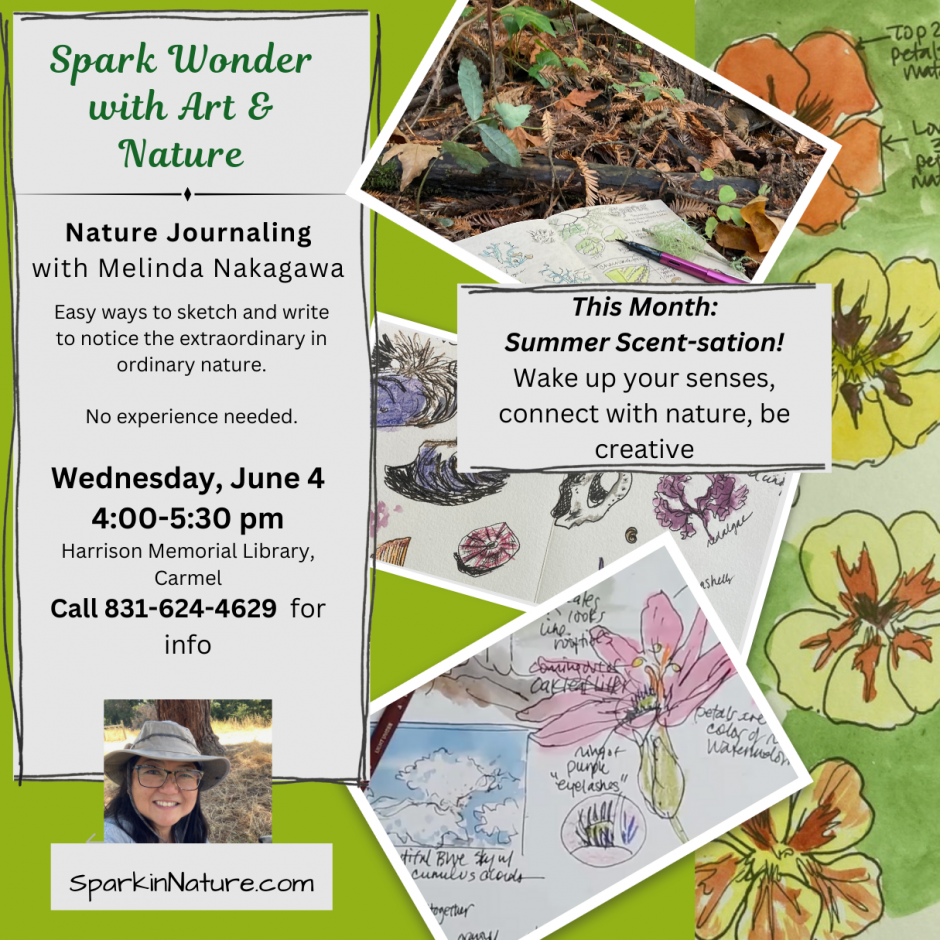 Nature Journaling 
