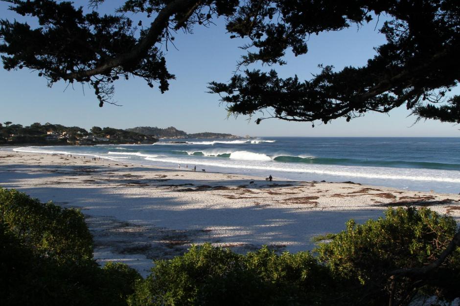 Carmel Beach