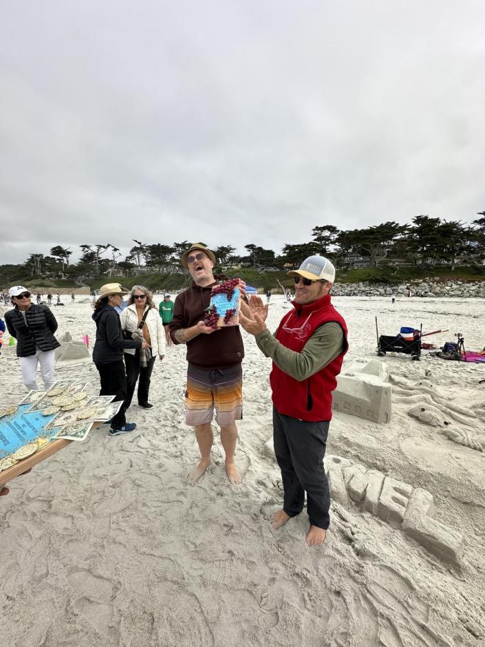 Norcal Sandcastles
