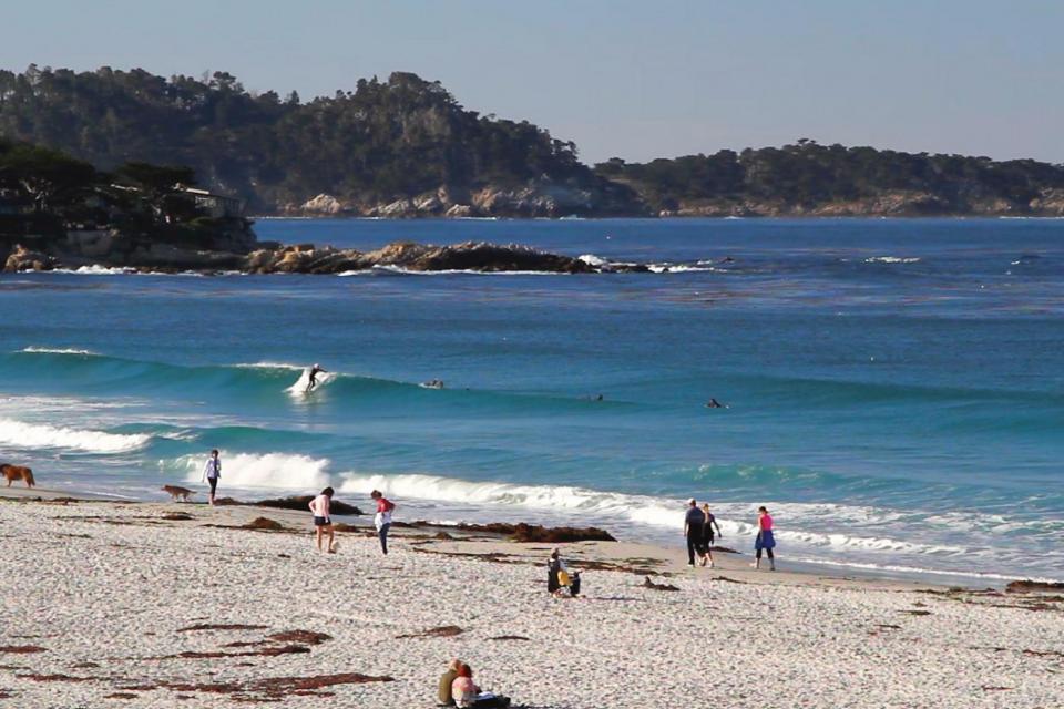 Carmel Beach and Surfer